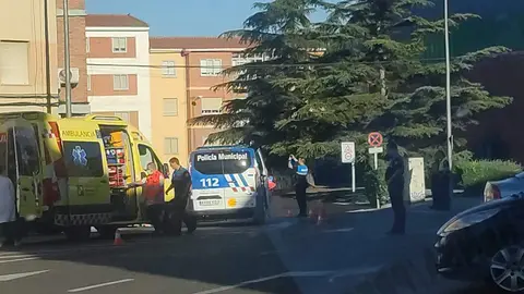 atropello en Zamora