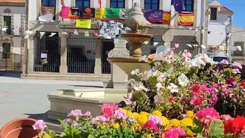 Bermillo de Sayago en fiestas