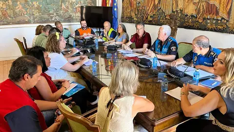 Reunión de seguridad, Toro