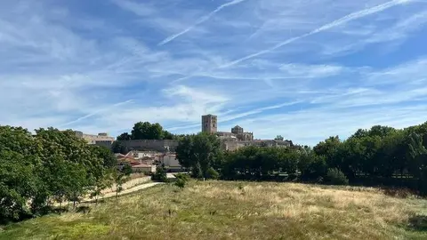 Día soleado con vistas a la Catedral de Zamora (1)