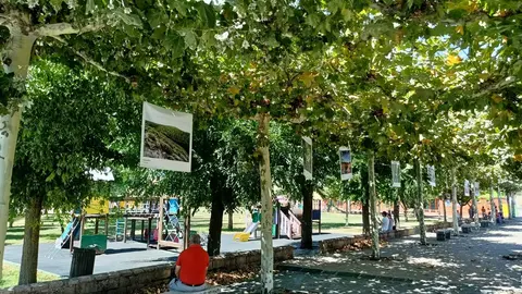 Riofrío de Aliste exposición