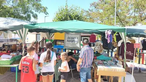 Mercadillo Valcabado _9