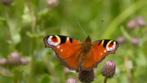 talleres educación ambiental riofrio