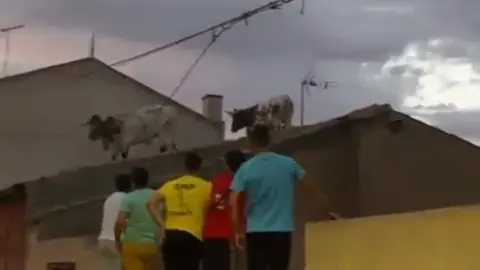 Cabestros Villalpando