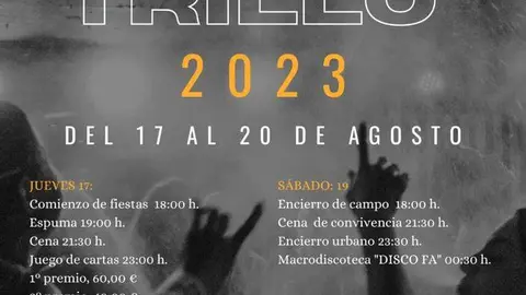 Cartel de fiestas San Esteban