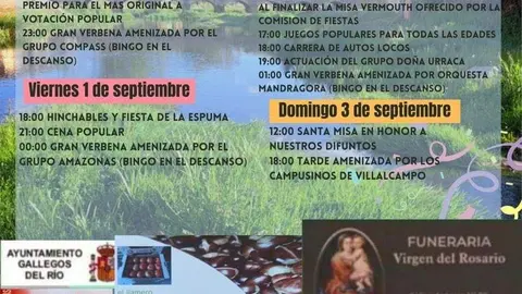 cartel de fiestas Valer de Aliste