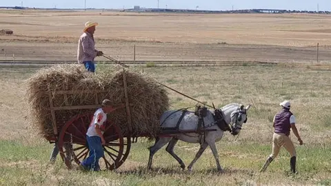Un recuerdo a la cosecha de antaño en Castrogonzalo vía Interbenavente.es