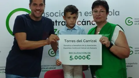 Recaudación Torres del Carrizal