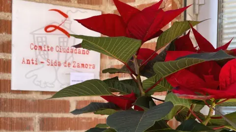 Comite Antisida De Zamora