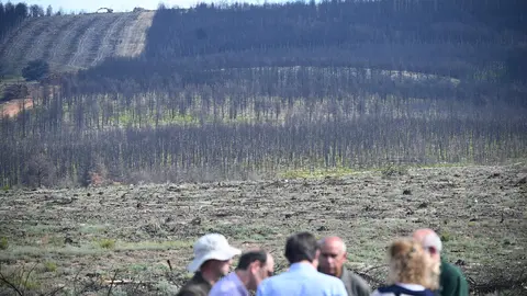 Visita al Monte de Utilidad Pública de Villardeciervos. imagen de archivo