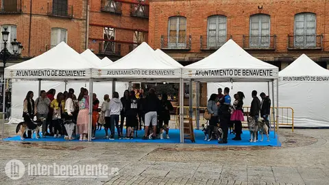 Feria de Septiembre con lluvia vía Interbenavente.es