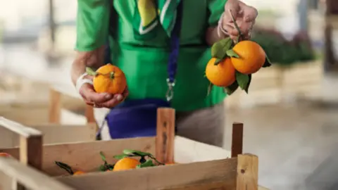 Frutería. Fotografía de archivo