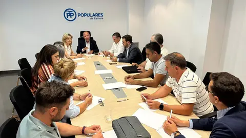 Comité PP Zamora