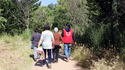 Paseos Cruz Roja Zamora