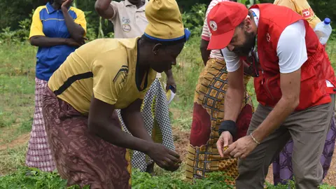 voluntarios cruz roja
