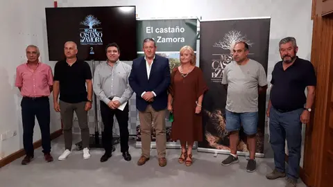 Diputación y Junta activan el Programa de Promoción de la Castañicultura