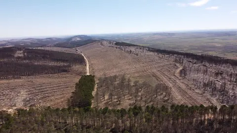 Estado de la Sierra de la Culebra tras el incendio. Fotografía: Zamora Viva