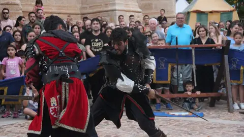 Torneo medieval de caballeros
