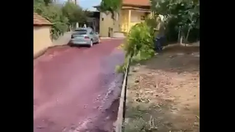 La exposición de una bodega llena de vino tinto las calles de un pueblo portugués