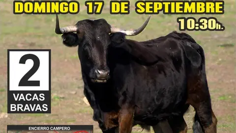 San Cebrián de Castro