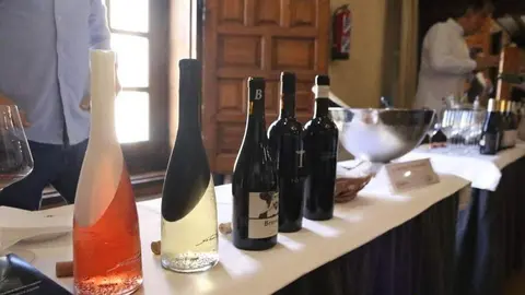 degustación de vinos_9