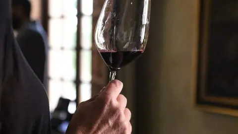 degustación de vinos