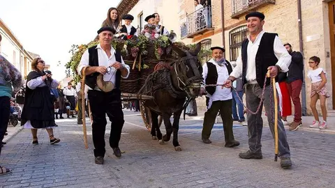 Fiesta de la vendimia toro