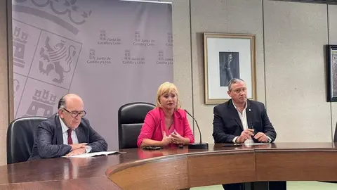 Programas depuración Zamora