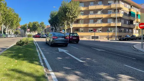 La ZA-20 a su paso por Cardenal Cisneros