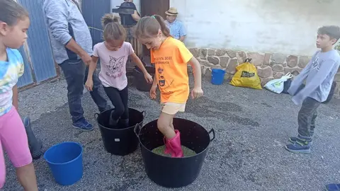Fiesta de la Vendimia (2)