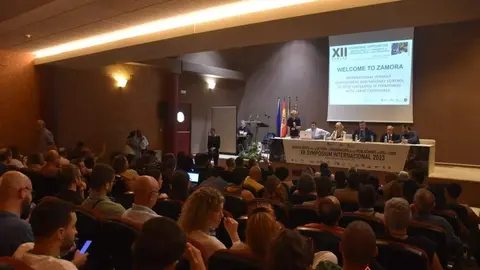 XII Symposium Internacional  (1)