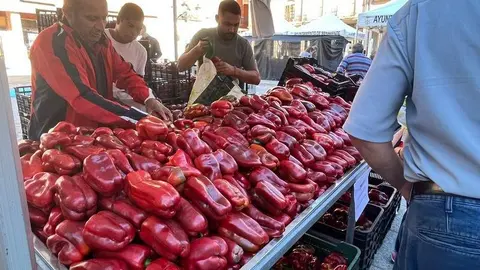 Feria del Pimiento de Benavente (7)