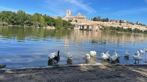 Playa de Los Pelambres_2
