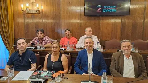 PSOE-Diputación de Zamora Pleno 2023