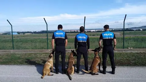 curso guía canino