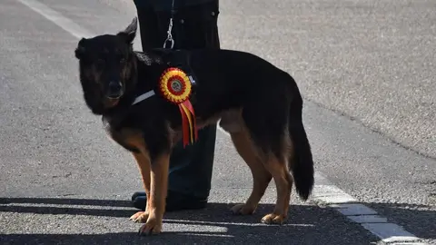 Ntra,Sra. del Pilar. La Hispanidad_58