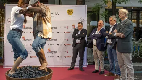 Fiesta de la vendimia