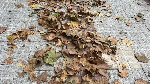 Otoño