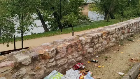 Basura entrepuentes (2)