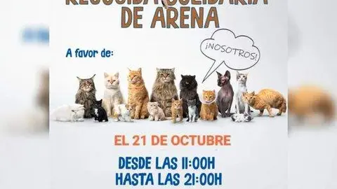 Gran recogida de arena