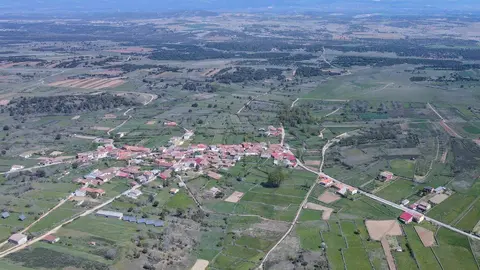 Grisuela