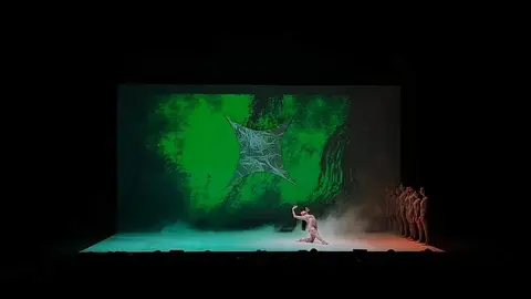 Danza contemporánea _3