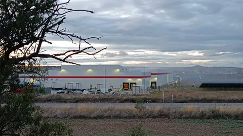 Frinca en la carretera de Valcabado