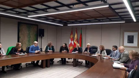 Centro Emergencias Mujer reunión