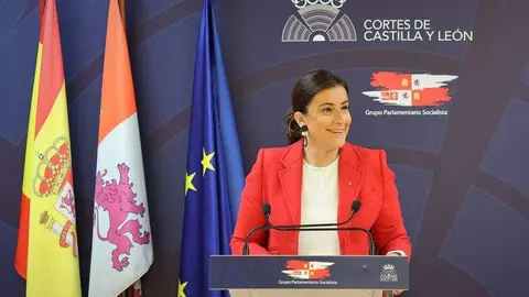 PSOECyL. Ana Sánchez rueda de prensa Cortes de Castilla y León