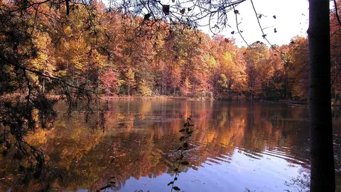 El Parque Estatal Seneca Creek donde se rodó la Bruja de Blair