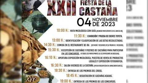 cartel fiesta de la castaña en Sejas de Aliste