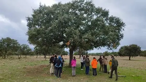 En la reunión anual celebrada en Madrid, con ocasión de la Presidencia española del Consejo