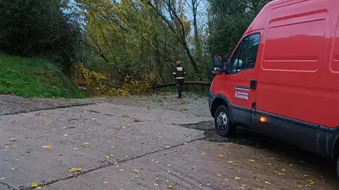 ramas de la calzada ZA-P-2435
Imagen Twitter diputación