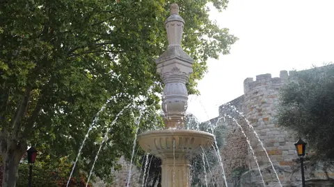 La fuente de Los Remedios en funcionamiento